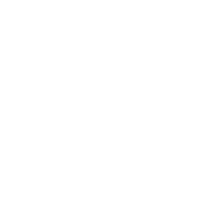 Max icon
