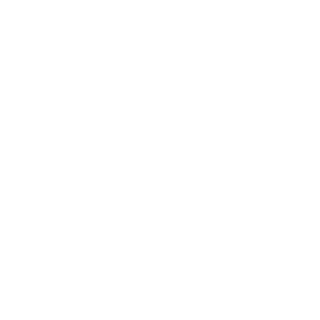 Light icon